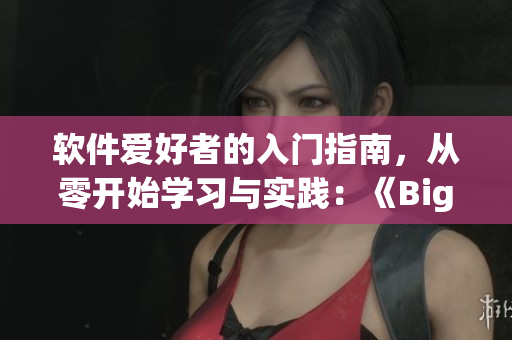 軟件愛好者的入門指南，從零開始學習與實踐：《Bigbang軟件視頻教程》