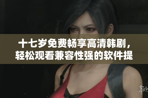 十七歲免費(fèi)暢享高清韓劇，輕松觀看兼容性強(qiáng)的軟件提供者