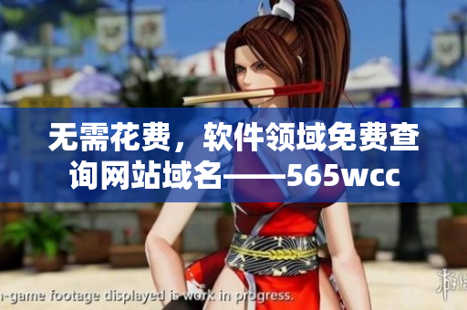 無需花費(fèi)，軟件領(lǐng)域免費(fèi)查詢網(wǎng)站域名——565wcc