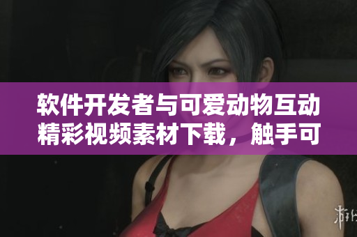 軟件開發(fā)者與可愛動(dòng)物互動(dòng)精彩視頻素材下載，觸手可及