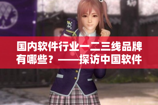 國(guó)內(nèi)軟件行業(yè)一二三線品牌有哪些？——探訪中國(guó)軟件界的市場(chǎng)格局