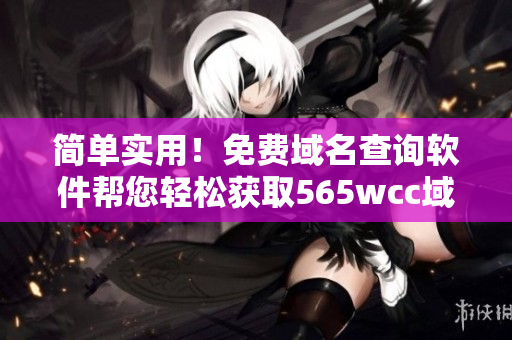 簡單實用！免費域名查詢軟件幫您輕松獲取565wcc域名信息