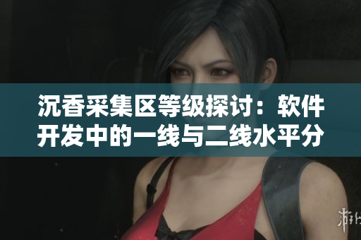 沉香采集區(qū)等級(jí)探討：軟件開發(fā)中的一線與二線水平分類