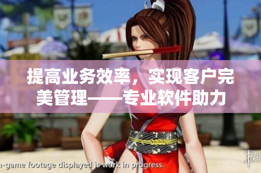 提高業(yè)務(wù)效率，實(shí)現(xiàn)客戶完美管理——專業(yè)軟件助力