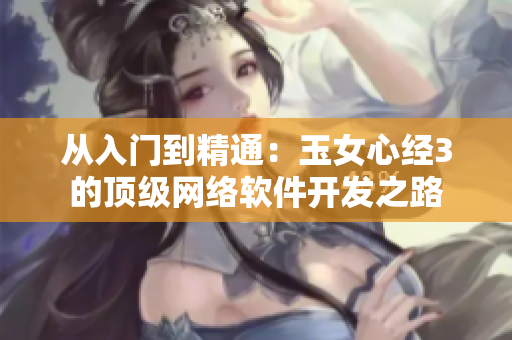從入門到精通：玉女心經(jīng)3的頂級網(wǎng)絡(luò)軟件開發(fā)之路