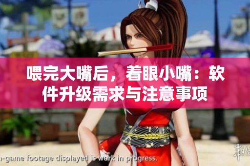 喂完大嘴后，著眼小嘴：軟件升級(jí)需求與注意事項(xiàng)