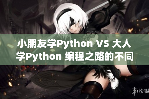 小朋友學(xué)Python VS 大人學(xué)Python 編程之路的不同