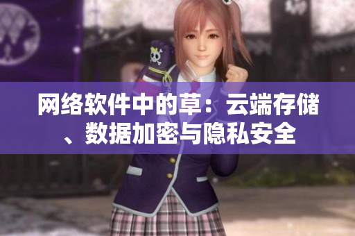 網(wǎng)絡(luò)軟件中的草：云端存儲、數(shù)據(jù)加密與隱私安全
