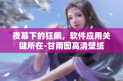 夜幕下的狂飆，軟件應(yīng)用關(guān)鍵所在-甘雨圖高清壁紙