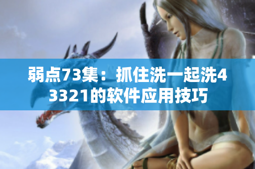弱點73集：抓住洗一起洗43321的軟件應(yīng)用技巧