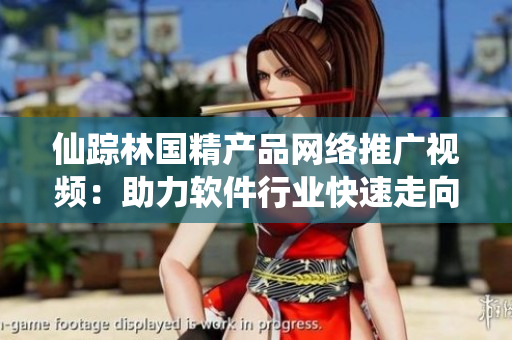 仙蹤林國精產(chǎn)品網(wǎng)絡(luò)推廣視頻：助力軟件行業(yè)快速走向領(lǐng)先地位！