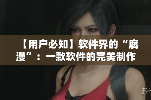 【用戶必知】軟件界的“腐漫”：一款軟件的完美制作秘籍