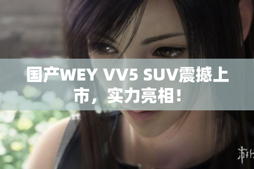 國產(chǎn)WEY VV5 SUV震撼上市，實力亮相！