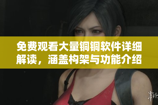 免費(fèi)觀看大量銅銅軟件詳細(xì)解讀，涵蓋構(gòu)架與功能介紹