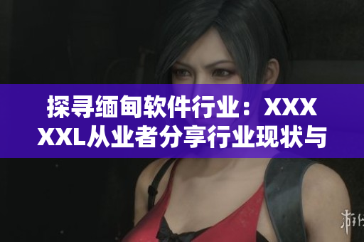 探尋緬甸軟件行業(yè)：XXXXXL從業(yè)者分享行業(yè)現(xiàn)狀與思考