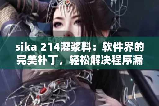 sika 214灌漿料：軟件界的完美補(bǔ)丁，輕松解決程序漏洞