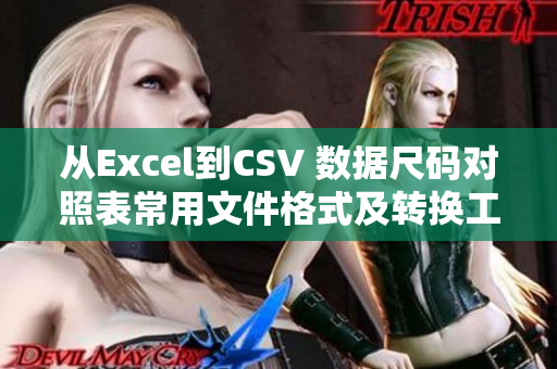 從Excel到CSV 數(shù)據(jù)尺碼對照表常用文件格式及轉(zhuǎn)換工具