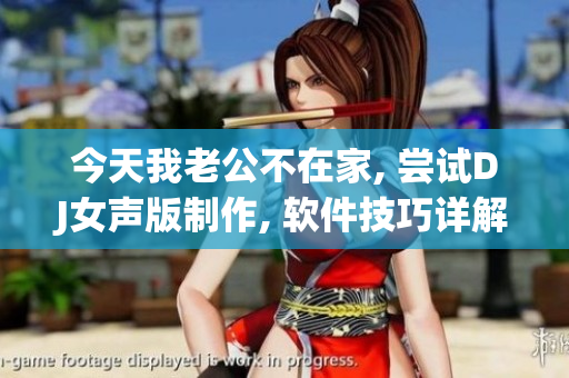 今天我老公不在家, 嘗試DJ女聲版制作, 軟件技巧詳解