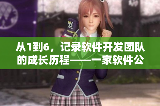 從1到6，記錄軟件開發(fā)團隊的成長歷程——一家軟件公司的奮斗史