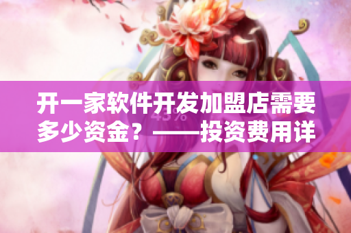 開一家軟件開發(fā)加盟店需要多少資金？——投資費用詳解