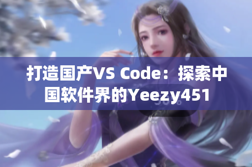打造國產(chǎn)VS Code：探索中國軟件界的Yeezy451