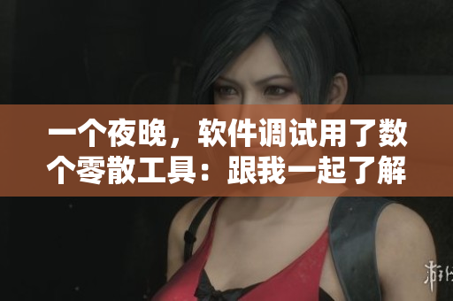 一個夜晚，軟件調試用了數個零散工具：跟我一起了解其作用和使用!