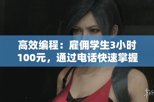 高效編程：雇傭?qū)W生3小時(shí)100元，通過電話快速掌握網(wǎng)絡(luò)軟件開發(fā)技巧