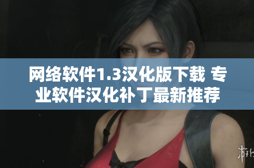 網(wǎng)絡(luò)軟件1.3漢化版下載 專業(yè)軟件漢化補丁最新推薦