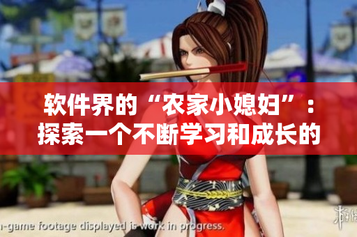 軟件界的“農(nóng)家小媳婦”：探索一個(gè)不斷學(xué)習(xí)和成長(zhǎng)的程序員的人生