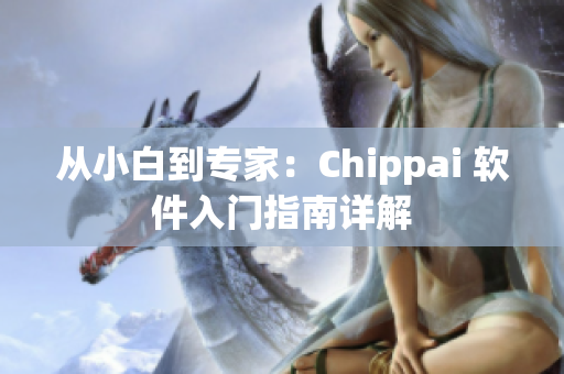 從小白到專家：Chippai 軟件入門指南詳解