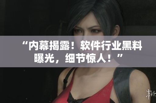 “內(nèi)幕揭露！軟件行業(yè)黑料曝光，細(xì)節(jié)驚人！”