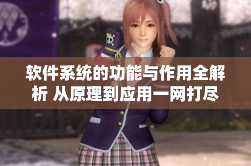 軟件系統(tǒng)的功能與作用全解析 從原理到應(yīng)用一網(wǎng)打盡