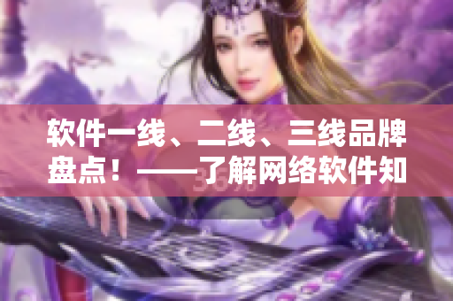 軟件一線、二線、三線品牌盤點！——了解網(wǎng)絡軟件知名品牌及市場占有率