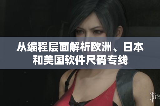 從編程層面解析歐洲、日本和美國(guó)軟件尺碼專線