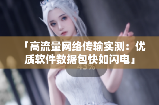 「高流量網(wǎng)絡(luò)傳輸實(shí)測：優(yōu)質(zhì)軟件數(shù)據(jù)包快如閃電」