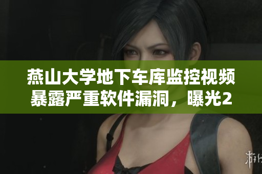 燕山大學地下車庫監(jiān)控視頻暴露嚴重軟件漏洞，曝光29分鐘關鍵細節(jié)