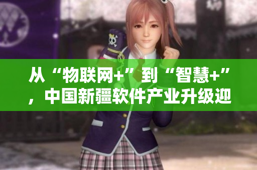 從“物聯(lián)網(wǎng)+”到“智慧+”，中國新疆軟件產業(yè)升級迎來新機遇