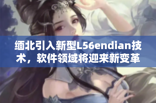 緬北引入新型L56endian技術(shù)，軟件領(lǐng)域?qū)⒂瓉硇伦兏? title=