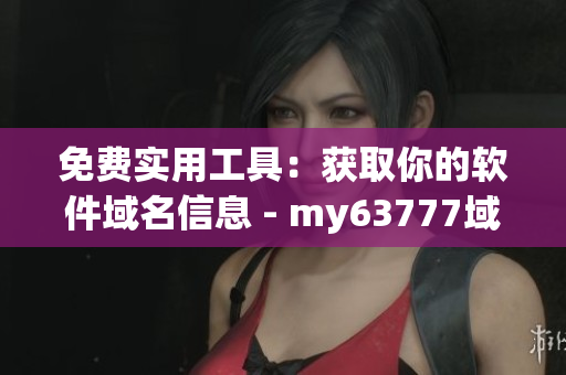 免費(fèi)實(shí)用工具：獲取你的軟件域名信息 - my63777域名查詢(xún)