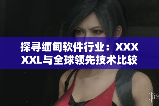 探尋緬甸軟件行業(yè)：XXXXXL與全球領(lǐng)先技術(shù)比較