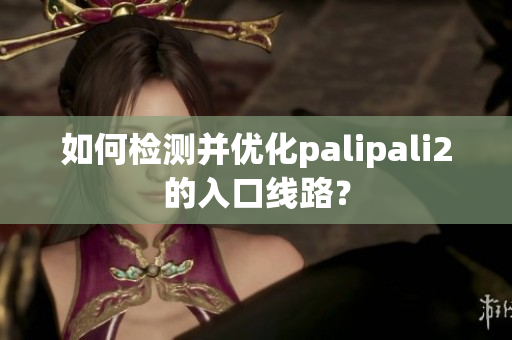 如何檢測并優(yōu)化palipali2的入口線路？