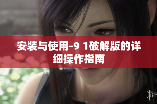 安裝與使用-9 1破解版的詳細(xì)操作指南