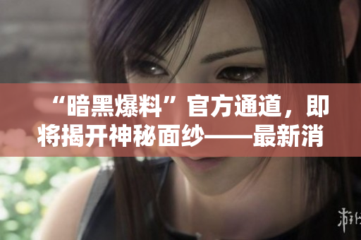 “暗黑爆料”官方通道，即將揭開神秘面紗——最新消息披露！