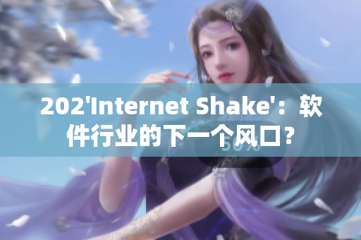 202'Internet Shake'：軟件行業(yè)的下一個(gè)風(fēng)口？
