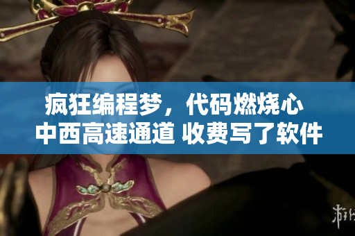瘋狂編程夢，代碼燃燒心 中西高速通道 收費寫了軟件