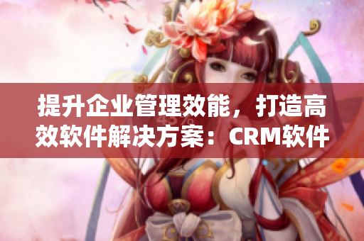 提升企業(yè)管理效能，打造高效軟件解決方案：CRM軟件系統(tǒng)