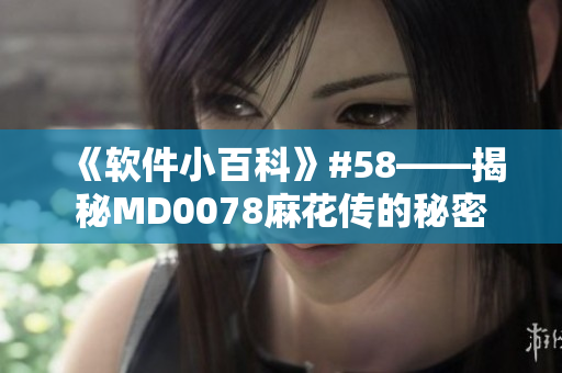 《軟件小百科》#58——揭秘MD0078麻花傳的秘密