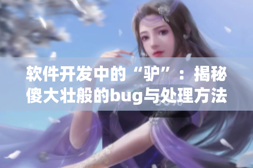 軟件開發(fā)中的“驢”：揭秘傻大壯般的bug與處理方法