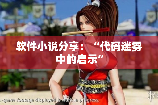 軟件小說(shuō)分享：“代碼迷霧中的啟示”