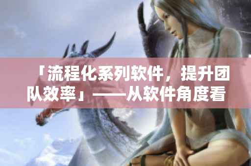 「流程化系列軟件，提升團(tuán)隊(duì)效率」——從軟件角度看緬甸XXXXXL